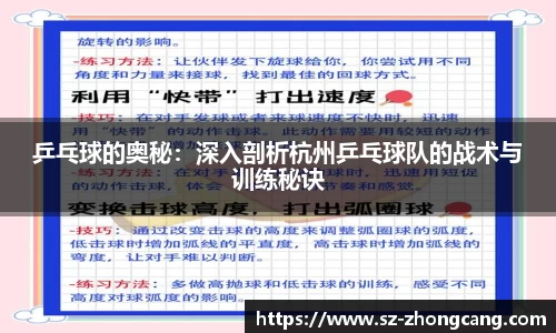 乒乓球的奥秘：深入剖析杭州乒乓球队的战术与训练秘诀
